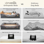 Elevated dog bed with supportive bolster edges for head and neck comfort