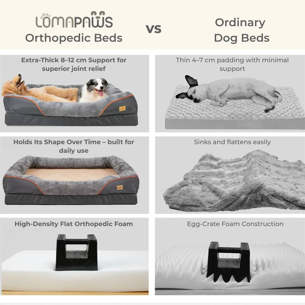 Elevated dog bed with supportive bolster edges for head and neck comfort