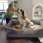 LomaPaws Orthopedic Memory Foam Dog Bed