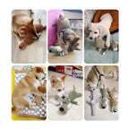 LomaPaws Durable Squeaky Plush Dog Toy